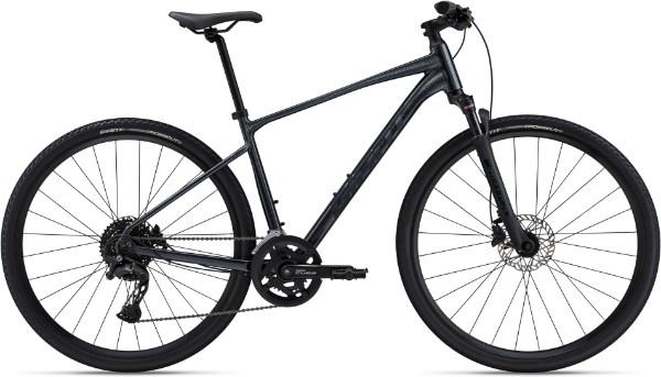 Giant Roam Disc 1