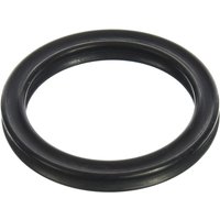 Manitou Magnum Air Piston Seal 2015