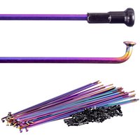 Blank PG BMX Spokes Rainbow