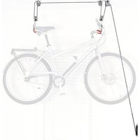 Delta El Greco Ceiling Hoist