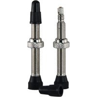 Slime Tubeless Valve