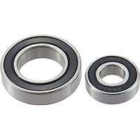 Ritchey SVC Rear Bearing Kit 2010 V5
