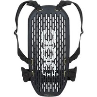 POC VPD System Back 2019