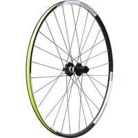 DT Swiss DT350 on WTB Asym i19 XTXC Rear Wheel