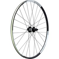 DT Swiss DT350 on WTB Asym i19 X01XC Rear Wheel