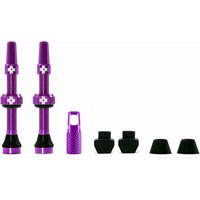 MucOff Tubeless Valve Kit