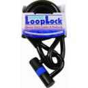 Oxford Loop Lock Heavy Duty Laminated Padlock