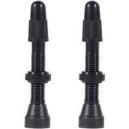 WTB TCS Presta Valve Pair