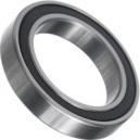 BrandX Sealed Bearing 61805 SRS Bearing