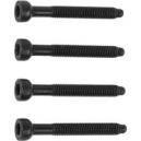 Thule RideAlong Fitting Screws