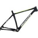 Bianchi Methanol 27 SX Frame 2014