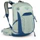 Osprey Talon 22 Backpack