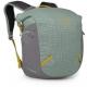 Osprey Transporter Zinch