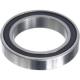 BrandX Sealed Bearing 6805 2RS Bearing