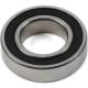 Hope 61902 RS Bearing
