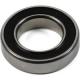 Hope 61801 2RS Bearing