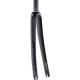 Ritchey WCS Road Forks Carbon