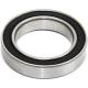 Hope Stainless Steel Bearing
