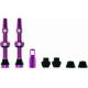 MucOff Tubeless Valve Kit